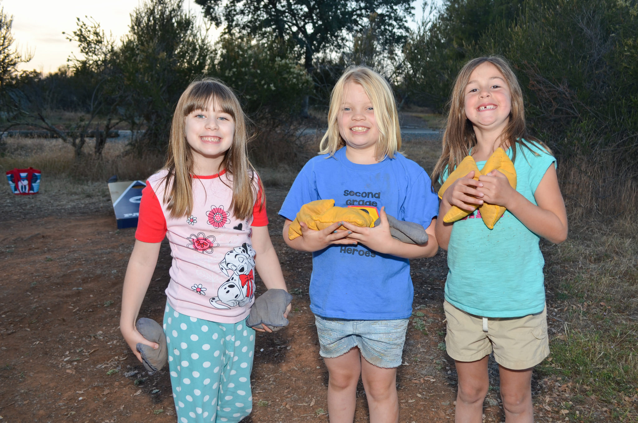 Our Favorite Campsite Games Newmar